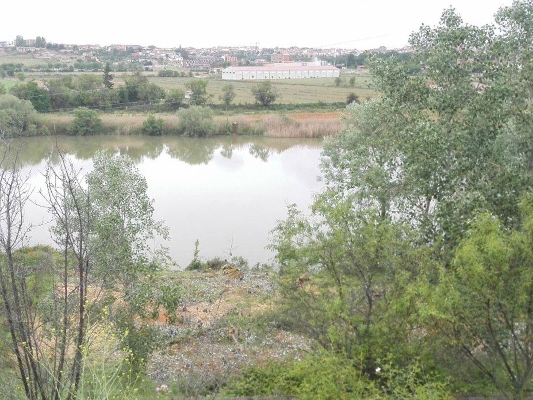 Riberas del río Duero en la zona cercana a Carrascal