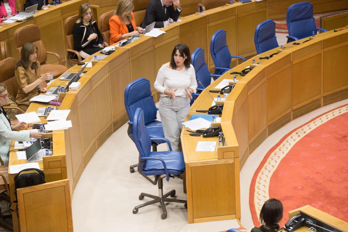 Lorenzana, en su comparecencia en el Parlamento de Galicia (foto: Xunta de Galicia)