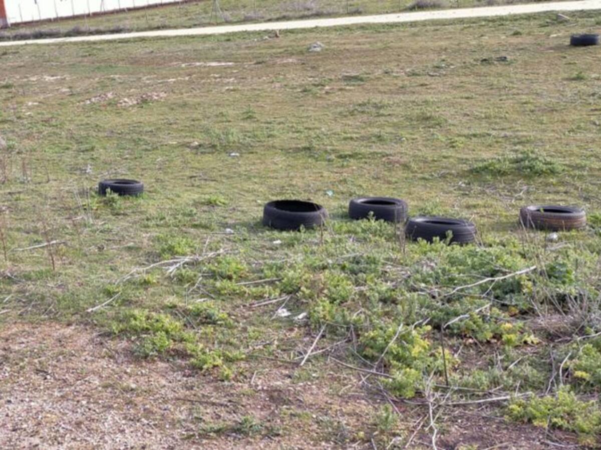 Limpieza de cementerios y entradas a Medina