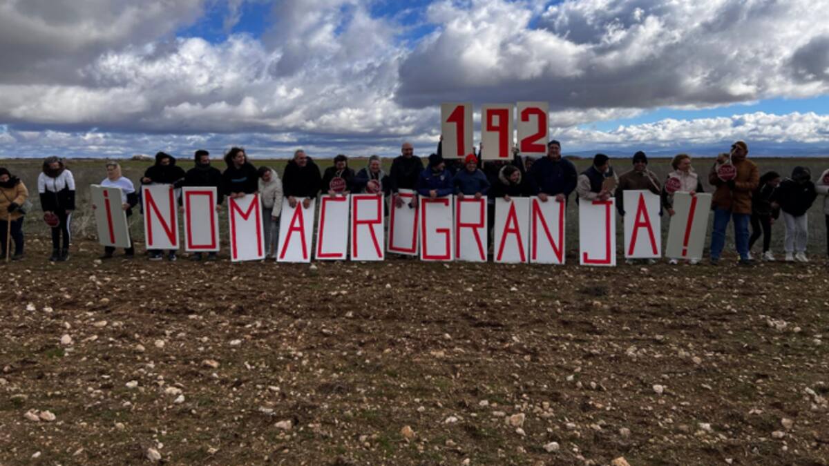 Macrogranjas y biogás: el problema que ya es realidad en la Ribera del Duero