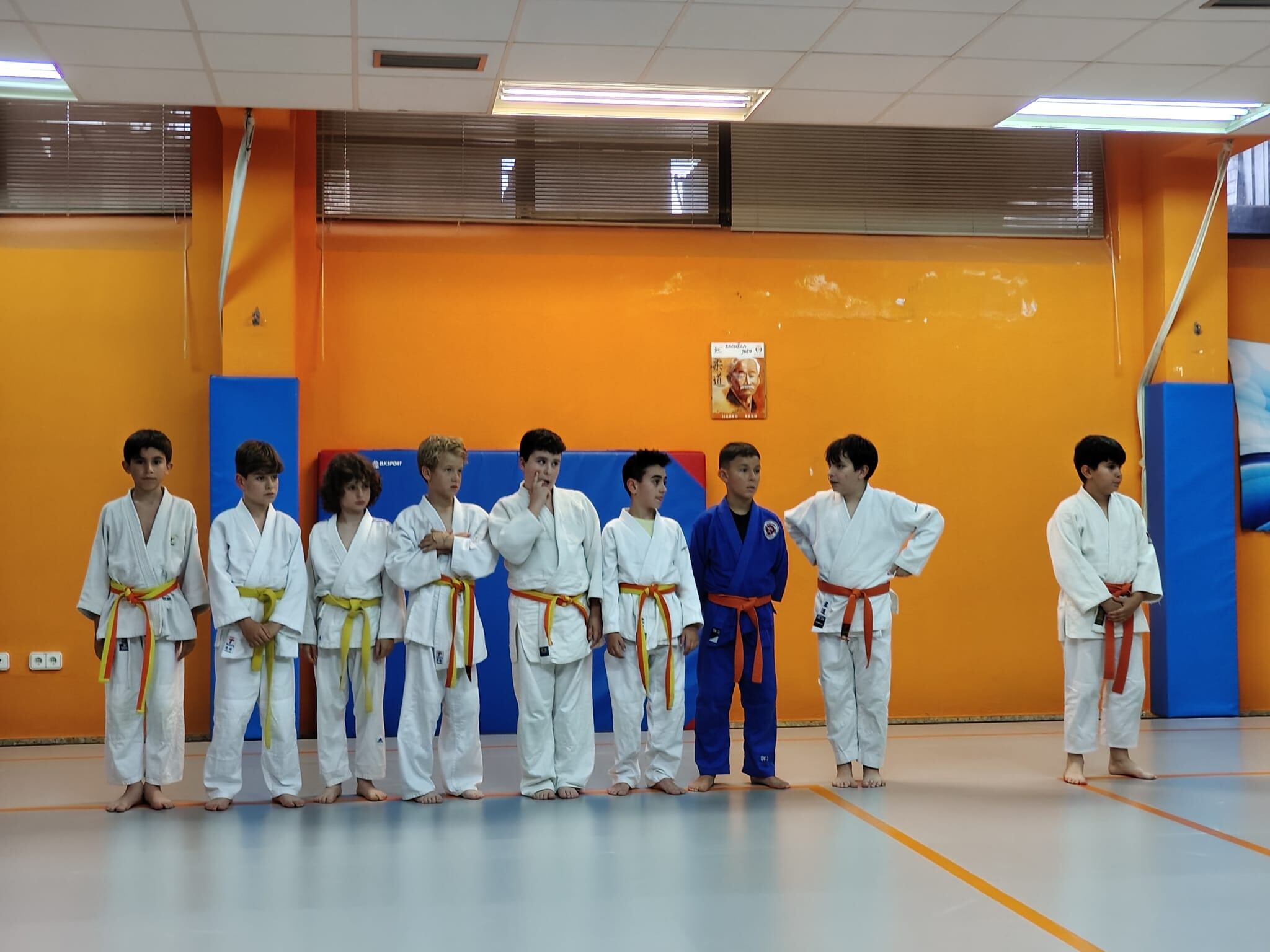 Judo Camv Villena
