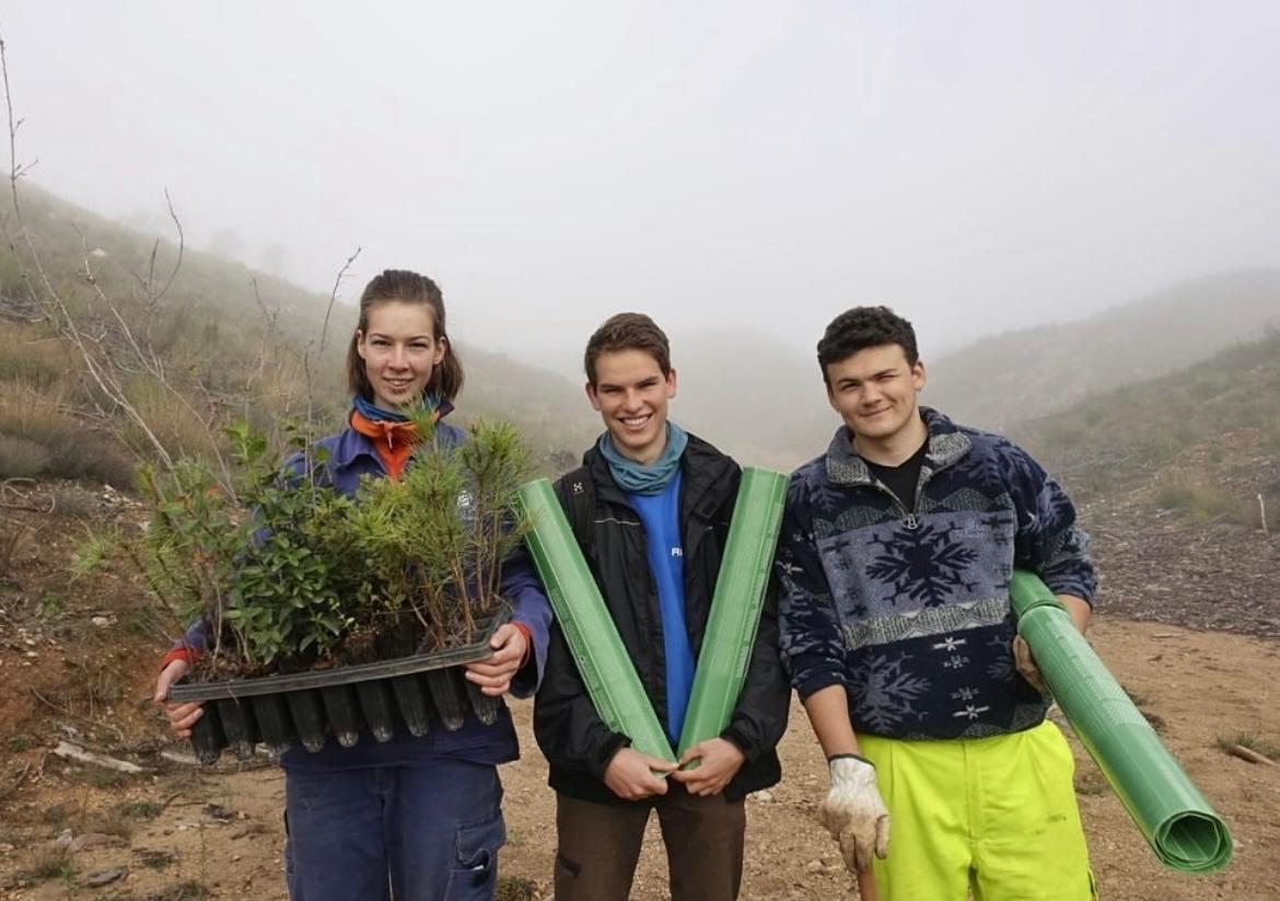 Jóvenes de todo el mundo trabajan en reforestar Riópar, Albacete. Imagen de &#039;Reforest Revive&#039;.