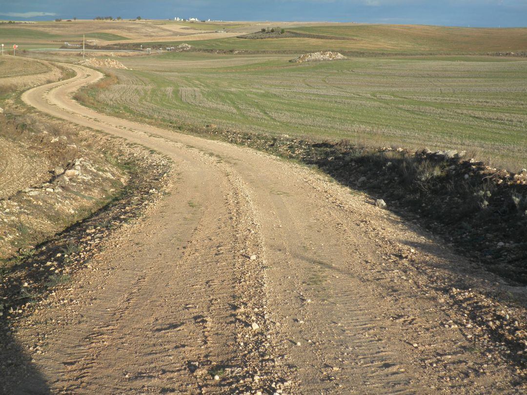 Camino rural en el que se ha intervenido con la ayuda de la Diputación de Palencia