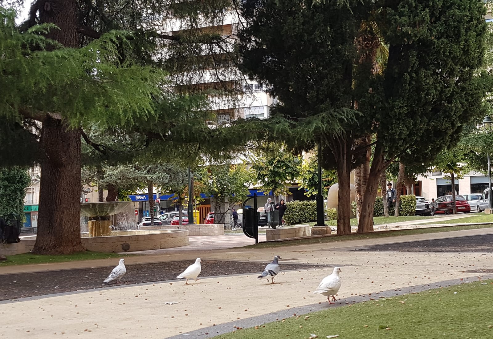 Palomas en el Parterre de Alcoy