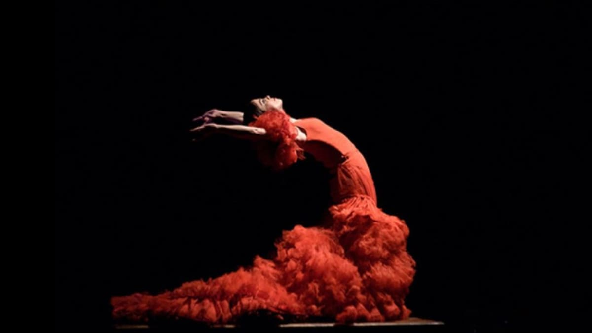 "La materia" de Olga Pericet llega este domingo al Teatro Villamarta