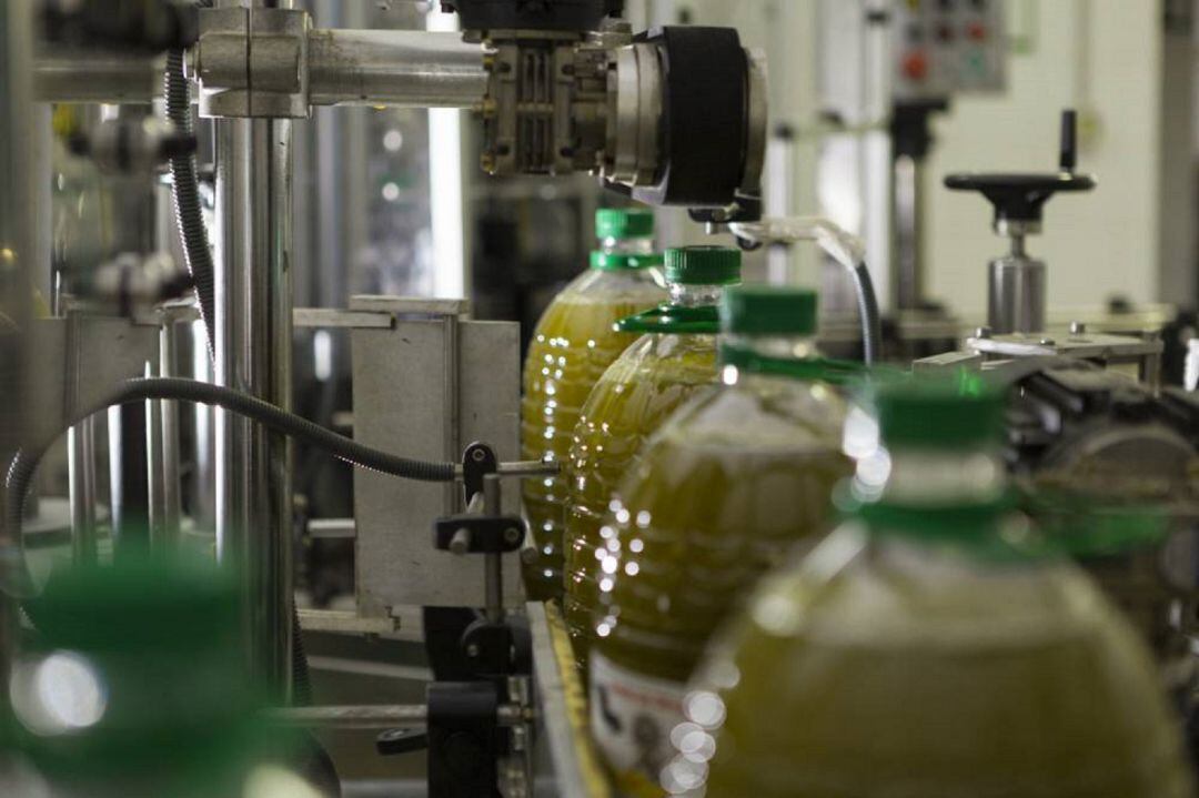 Línea de envasado de aceite en la Cooperativa San Agustín de Linares.