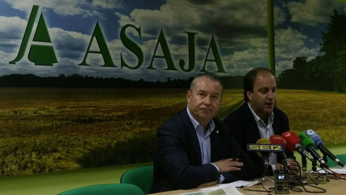 ASAJA considera que las pérdidas originadas por la sequía son "una barbaridad"