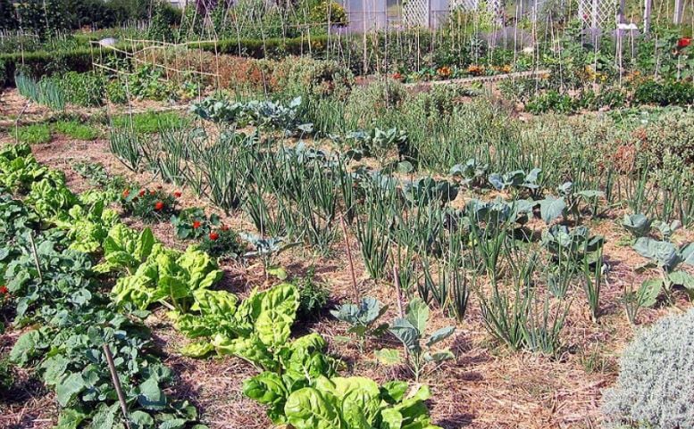 Se pide minimizar en la medida de lo posible el riego en huertos