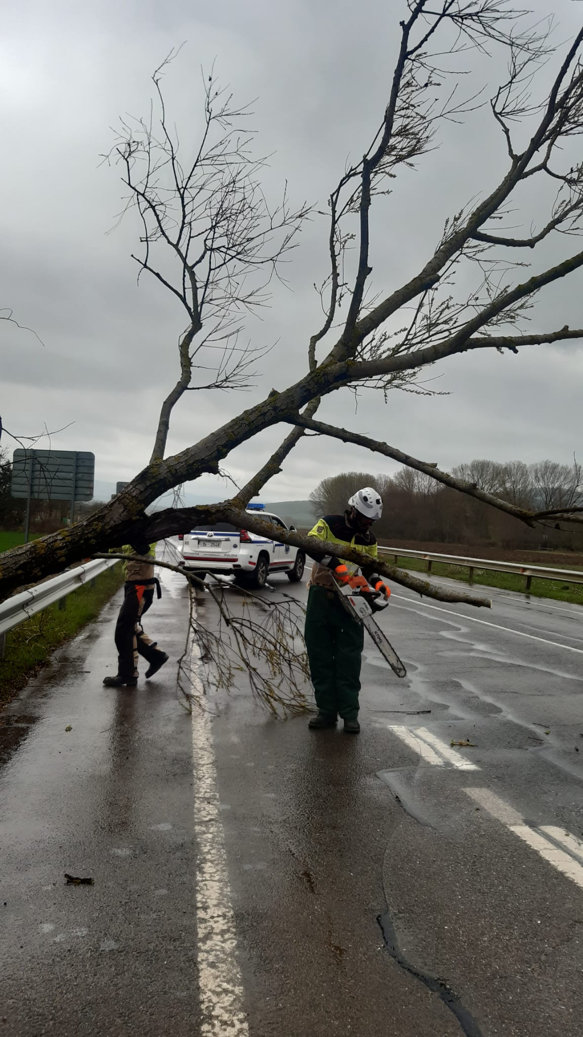 El servicio de bomberos de Álava eliminando riesgos en las vías