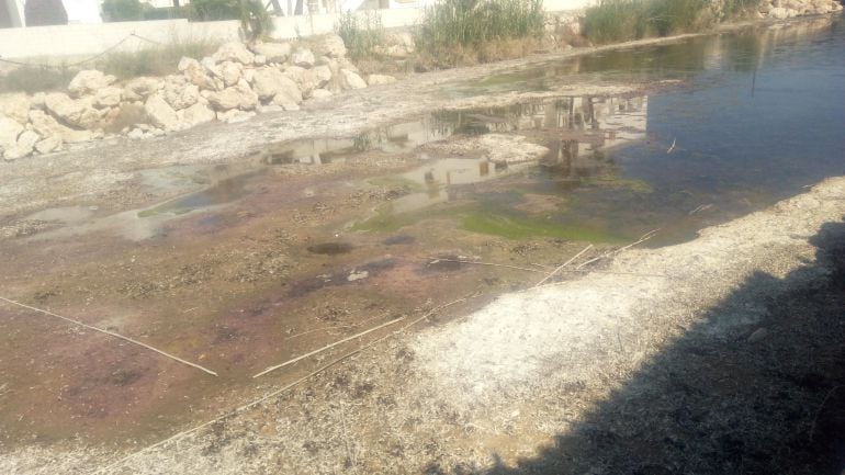 Aguas estancadas en la desembocadura del río Girona, en Les Marines.