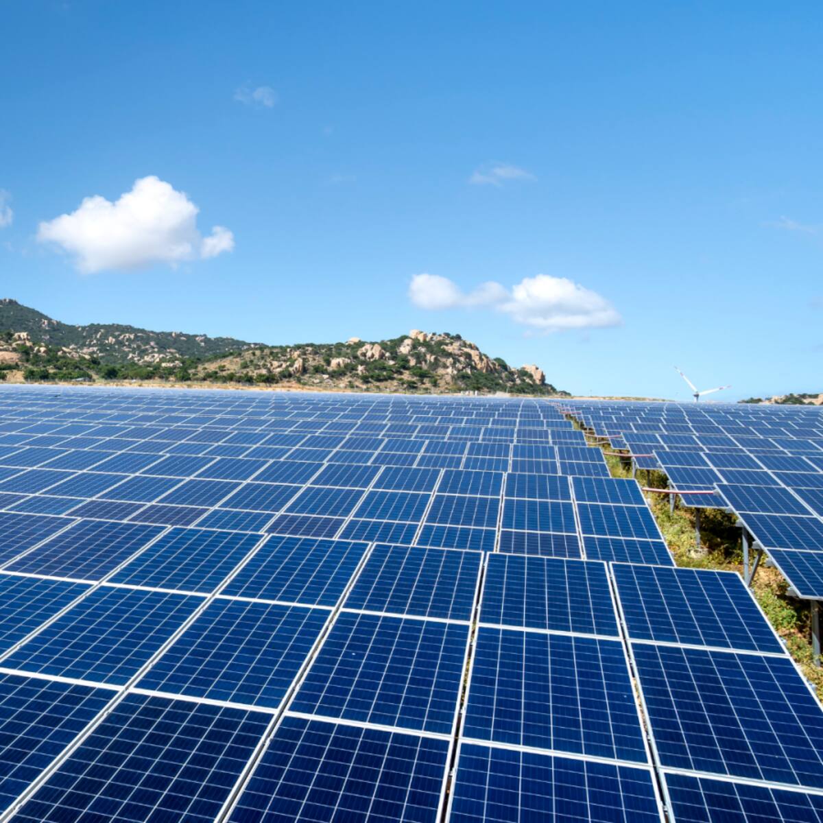 En alegaciones una nueva planta solar en Xàtiva y La Llosa de Ranes