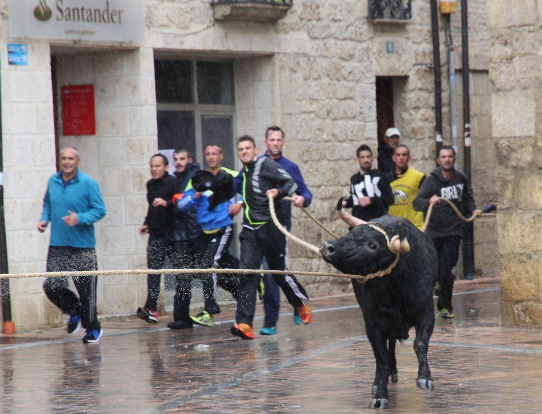 Imagen de archivo del toro enmaromado de Astudillo