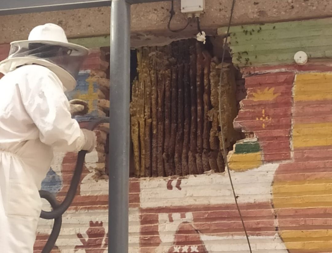 Hallados hasta 16 panales de abejas en el Instituto Francisco de Quevedo de Infantes