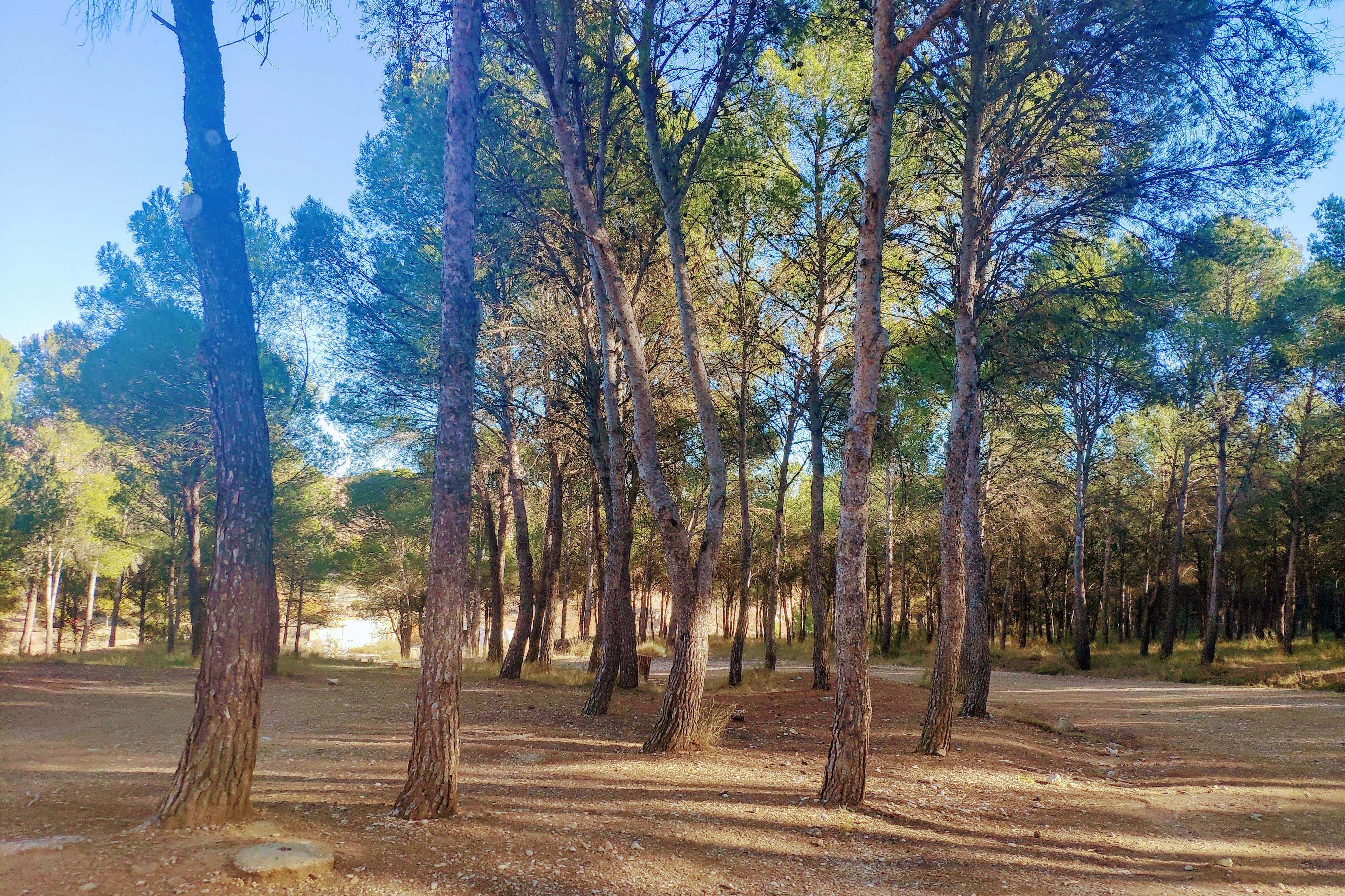 Parque Forestal La Sierra de Ballobar