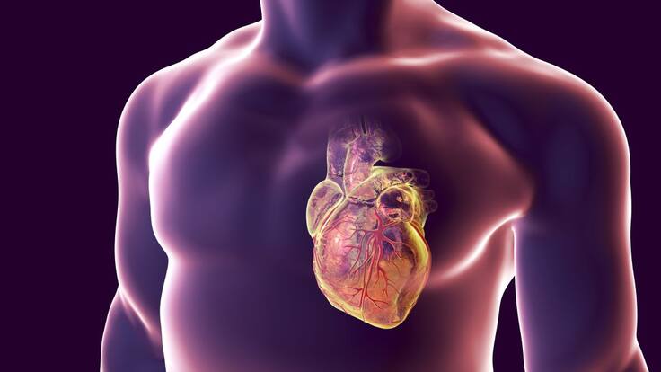 Domingo Pascual, jefe Cardiología Arrixaca