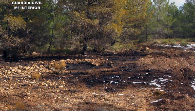 Imagen de uno de los terrenos quemados