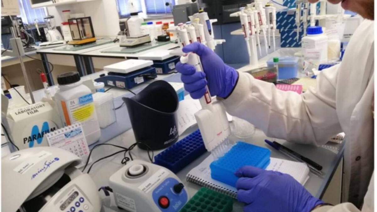 Ingeniería Agraria de la ULE logra mantener el 85% de incorporación laboral de sus alumnos