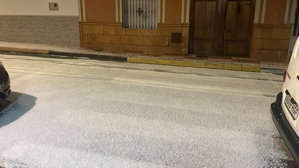 Paco Benavent (La Unió) advierte de los daños en los cultivos de la Vall d’Albaida tras las lluvias