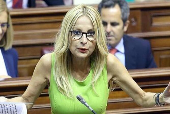 María Australia Navarro habla desde su escaño en el Parlamento canario