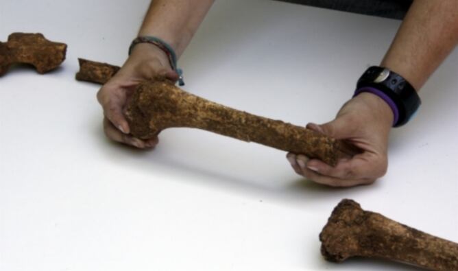 Les restes trobades pertanyen a les extremitats inferiors d&#039;una dona