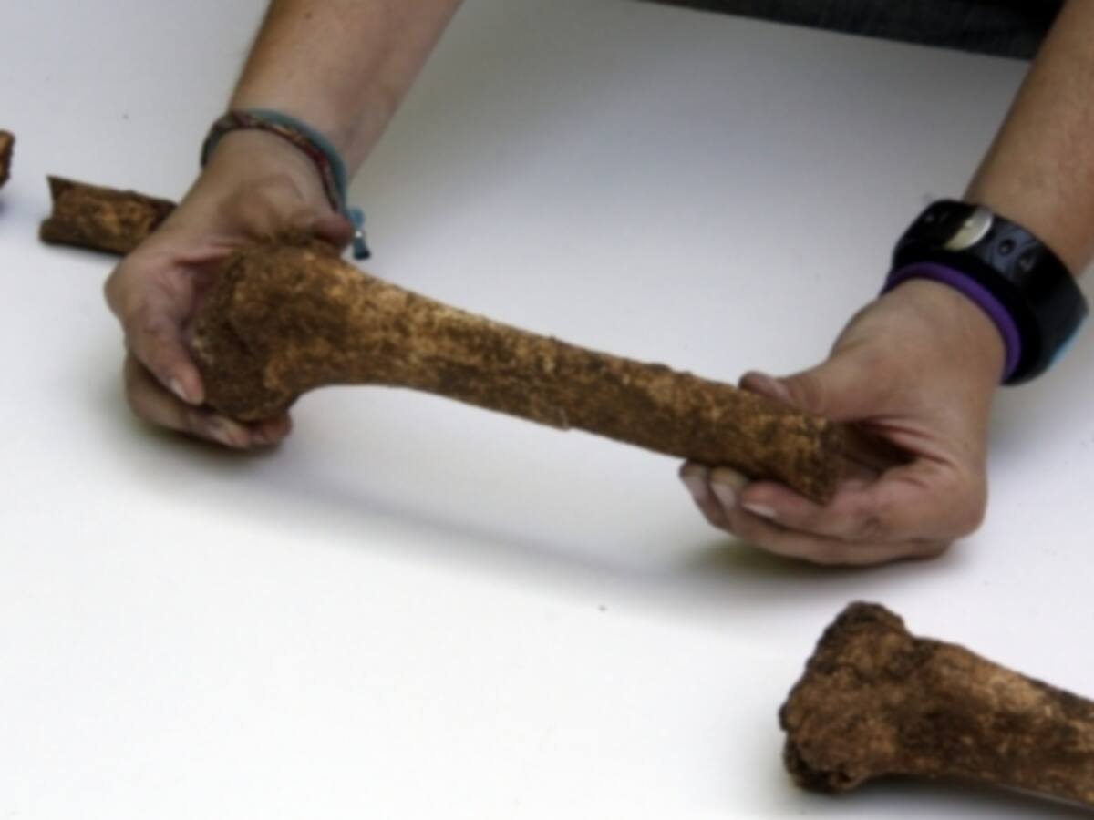 La catalana més antiga trobada fins ara a Catalunya pren forma
