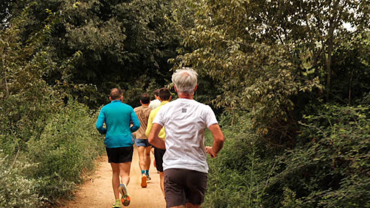 El inmunólogo Alfredo Corell ha presentado en La Ventana su libro 'Inmunidad en forma. Conoce y entrena tus defensas'