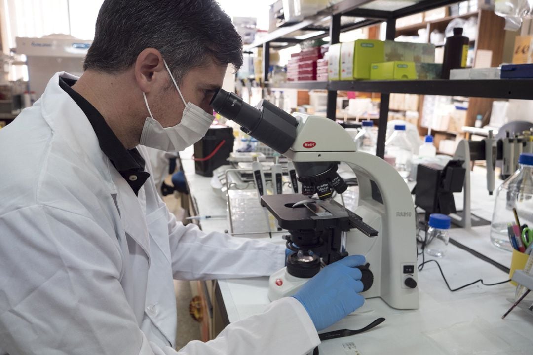 David Baglietto Vargas, investigador del Departamento de Biología Celular, Genética y Fisiología de la Universidad de Málaga.