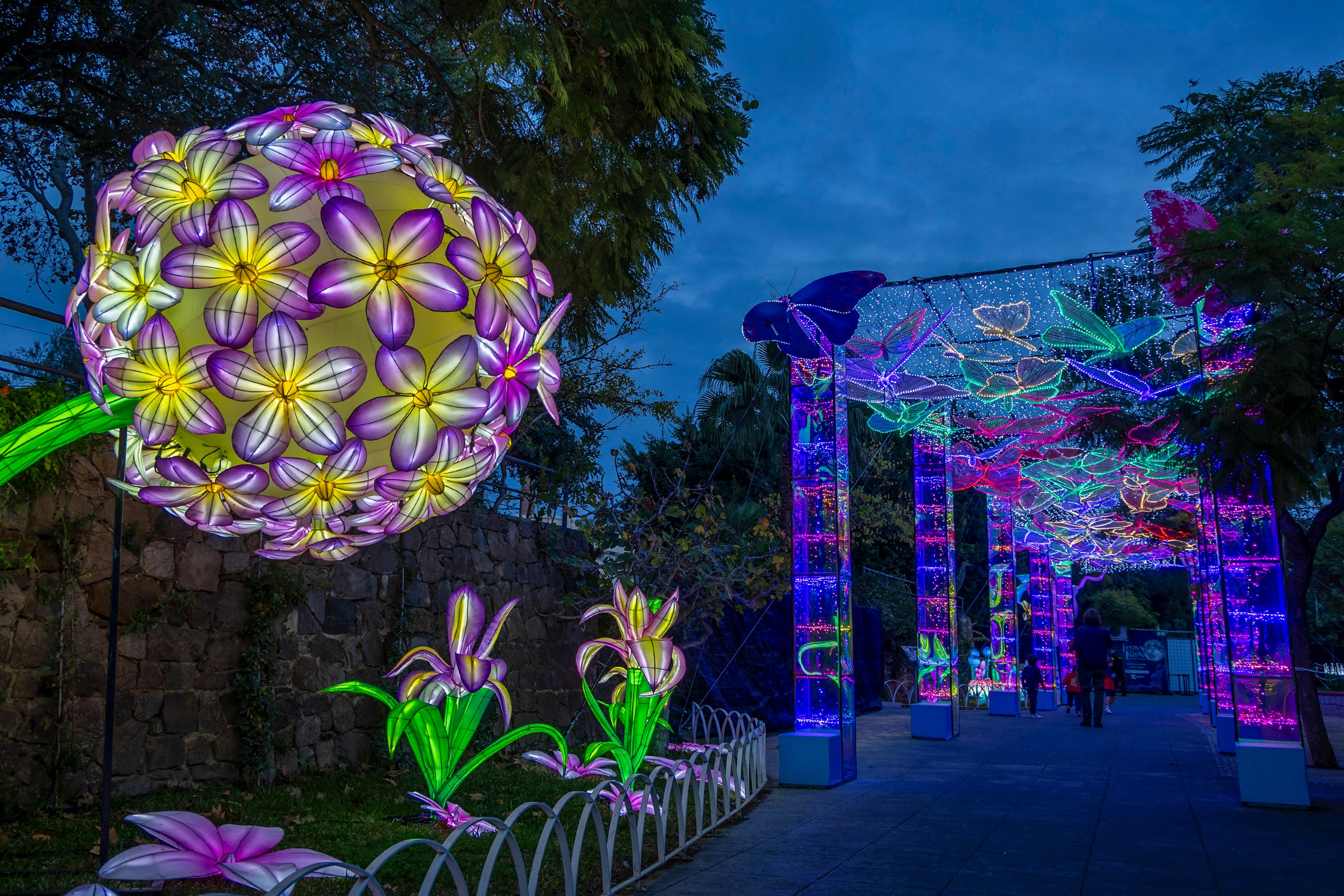 -FOTODELDÍA- MÁLAGA, 28/11/2024.- Pase previo a la Inauguración del Festival de las Linternas, organizado por Ximenez Group en colaboración con Lantern Group. Este evento, titulado &quot;La luz de un viaje milenario único&quot;, abrirá sus puertas al público el 30 de noviembre y ofrecerá conocer de primera mano la magia de las linternas que iluminarán el Parque del Oeste hasta el próximo 15 de febrero. EFE/Álvaro Cabrera
