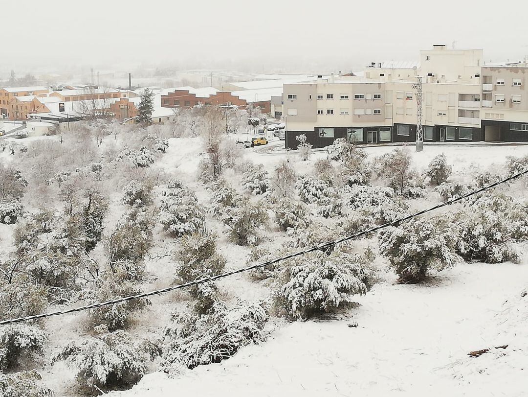 Banyeres de Mariola, en Alicante, ha amanecido este viernes con una capa de nieve de varios centímetros. 