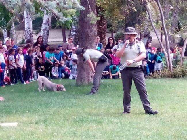 Actividades en las que han participado los escolares de Villanueva del Arzobispo