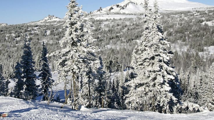 Recorrer casi 5000 kilómetros con una media de -35ºC en una bici de 400 euros.