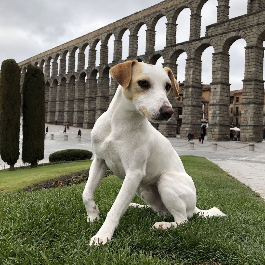 La gira empezó en mayo en Salamanca, ha pasado ya por 12 comunidades autónomas recorriendo 15.000 km, y se extenderá hasta mayo de 2019