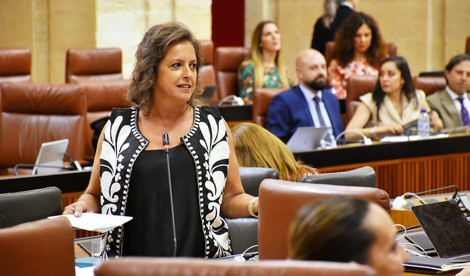 La consejera de Salud de la Junta de Andalucía, Catalina García durante su intervención en el Parlamento Andaluz