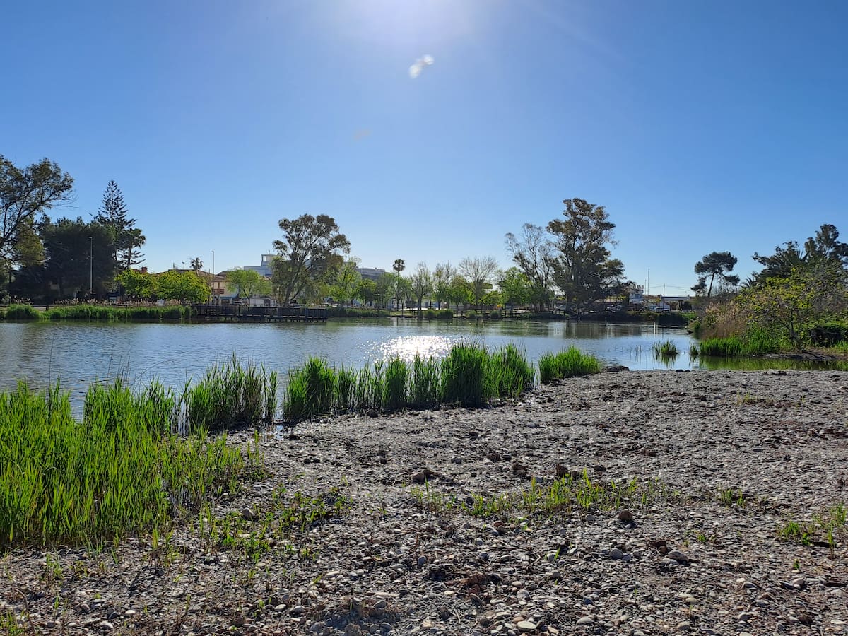 Nules amplía el parque natural de l'Estany con una nueva laguna