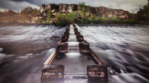 2º Premio: "Tobogán de Peces, Mave"