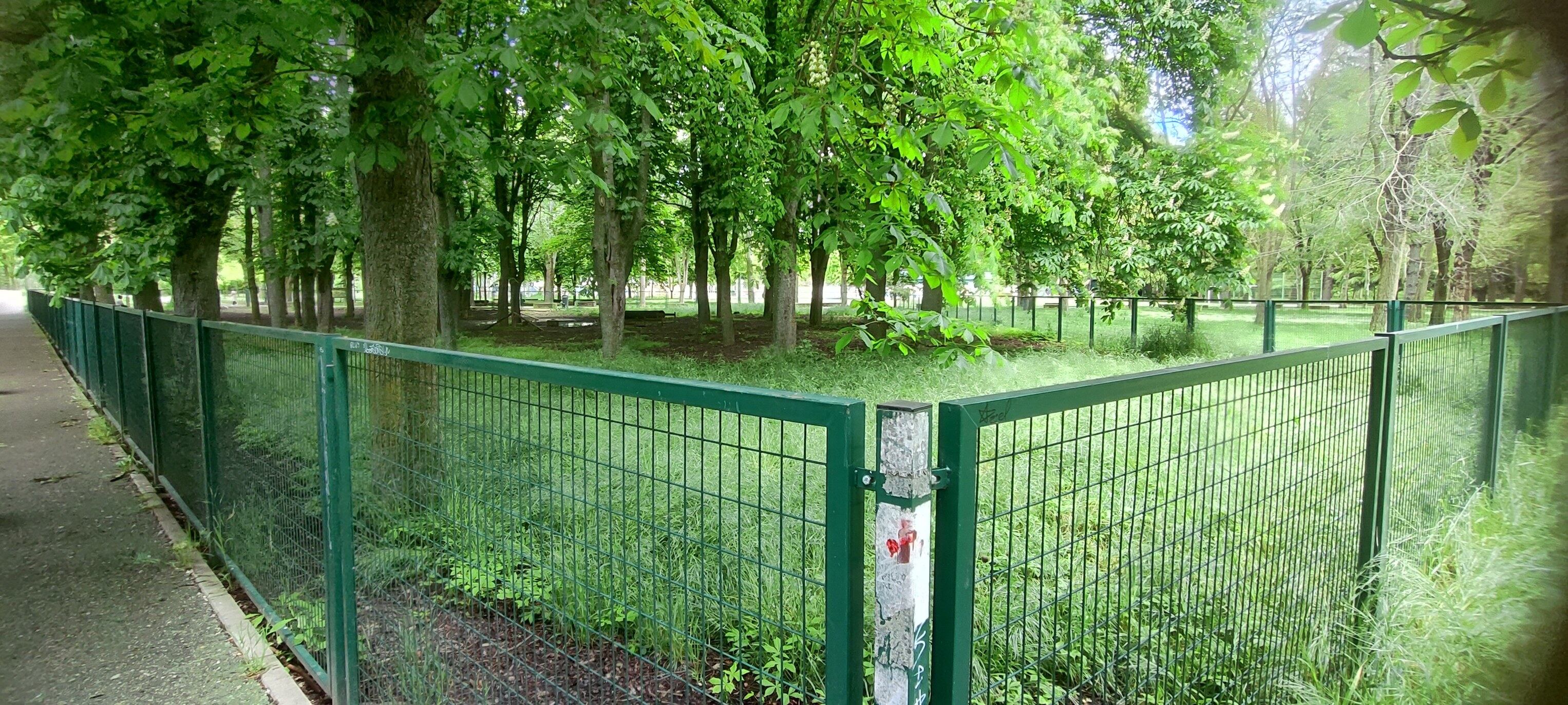 Estado del parque canino de Palencia