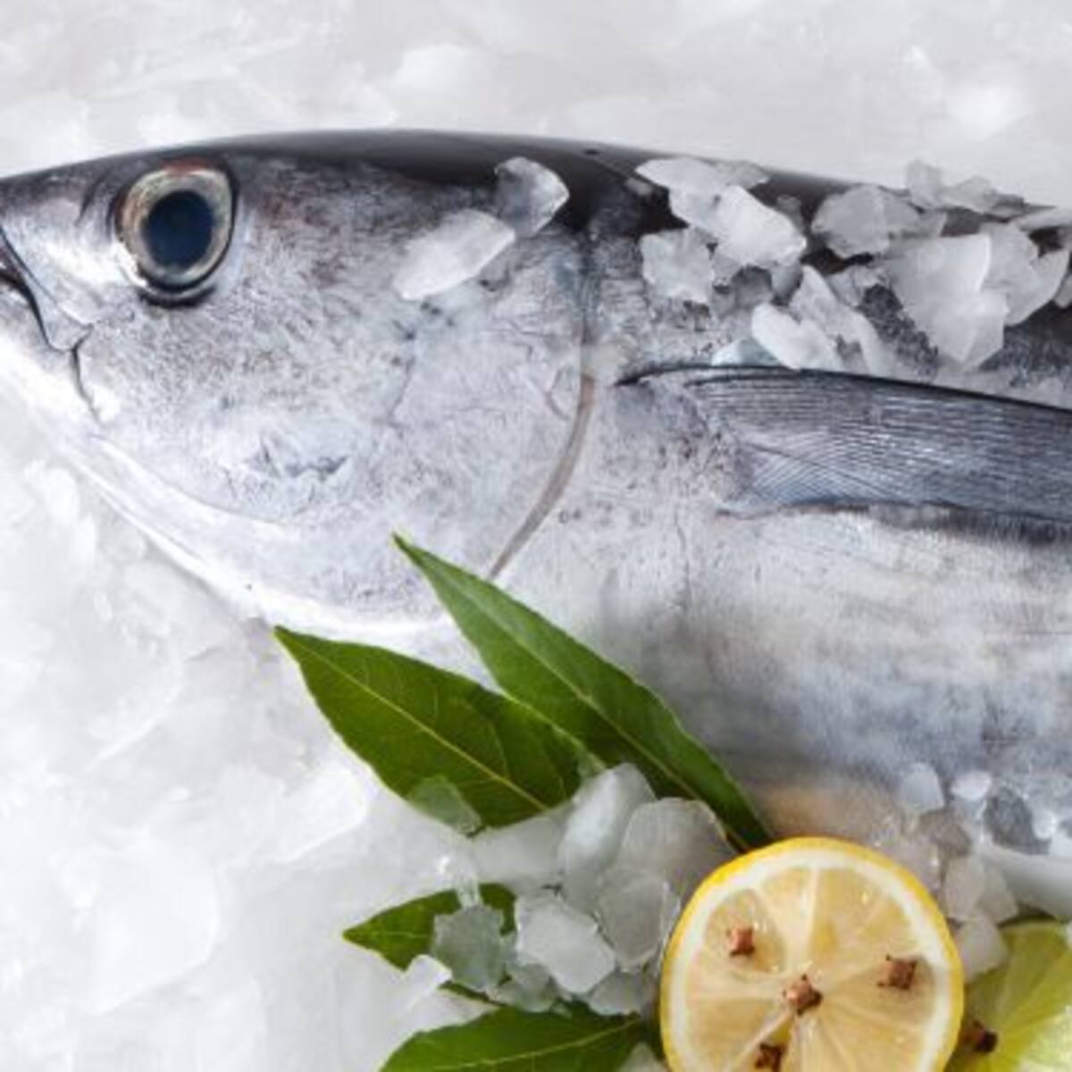 Receta de bonito encebollado de Edu Vega de Sa cuina de mo mare (28/01/2022)