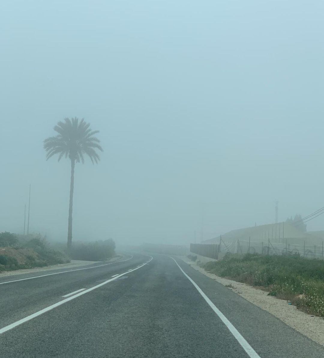 Niebla en la carretera