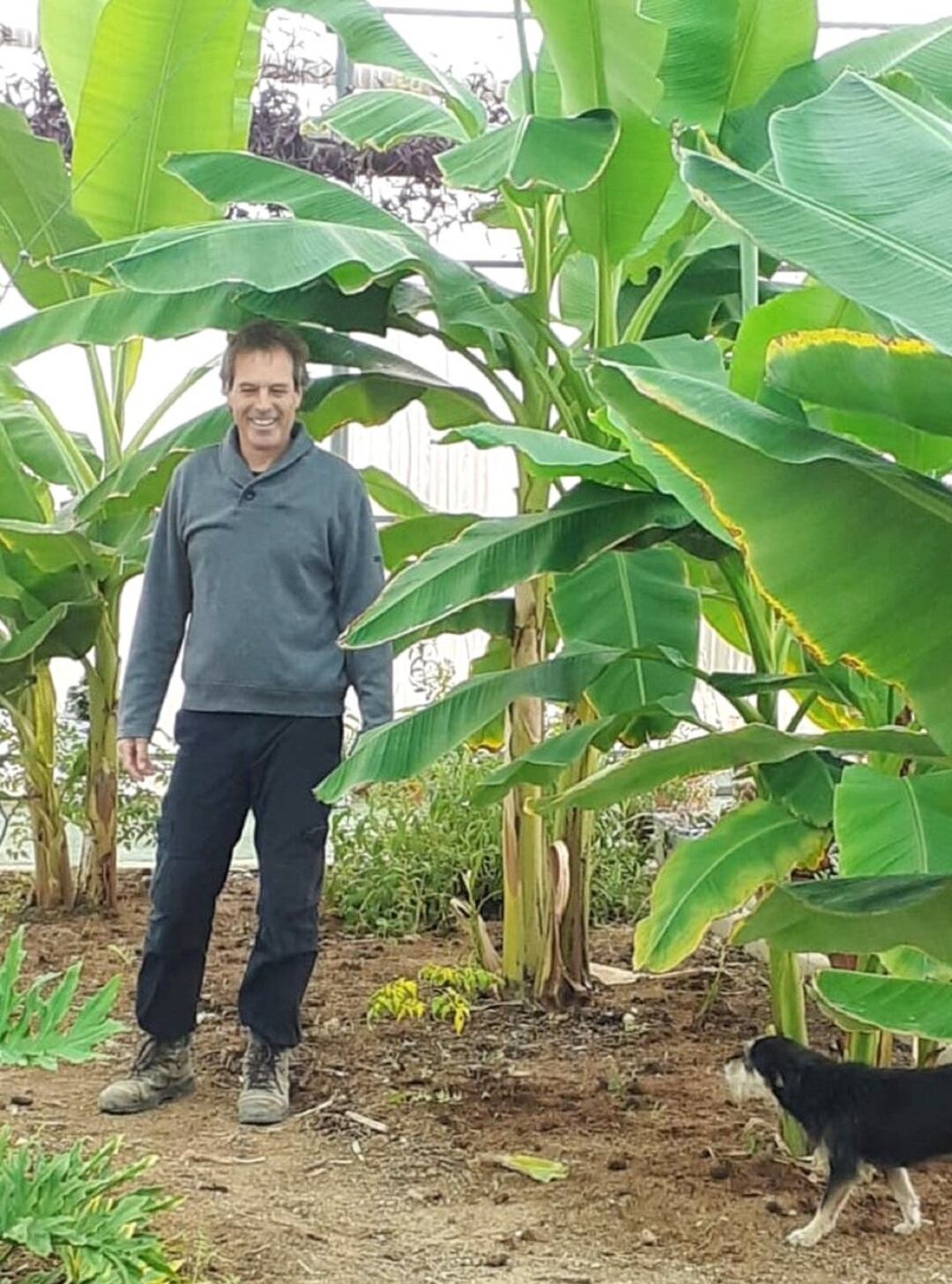 Javier Martínez, dueño del Vivero El Chorrillo, en su &quot;jardín cálido&quot;