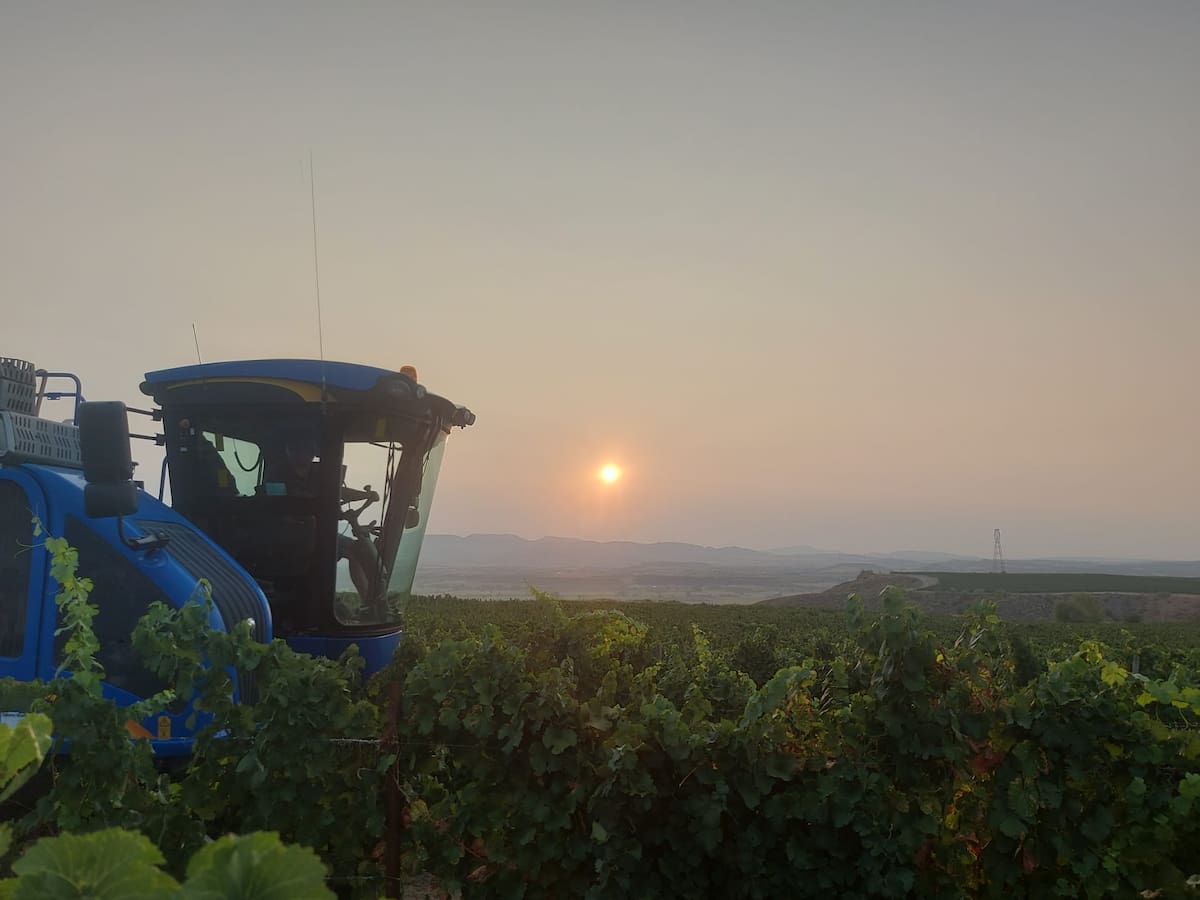 José Javier Echandi. Entrevista sobre el inicio de la vendimia en Bodegas Sommos.