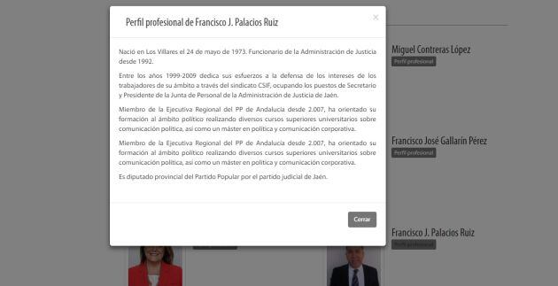 Pantallazo de la web de la Diputación Provincial de Jaén con el perfil profesional de Francisco Palacios.