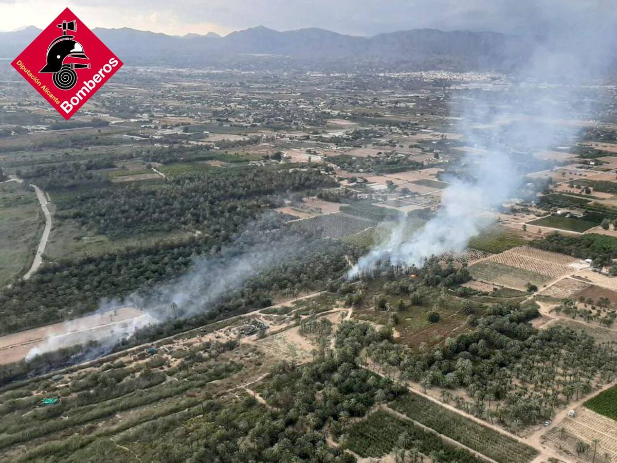 Incendio en el Parque Natural de El Hondo