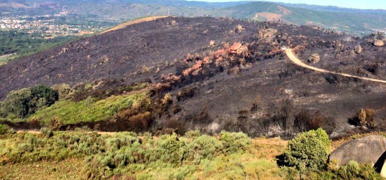 En Monterrei ardieron más de 170 hectáreas