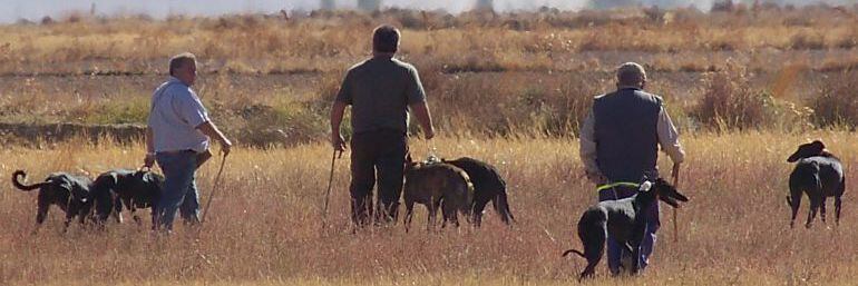 Unos cazadores acompañados de sus perros durante una cacería (Archivo)