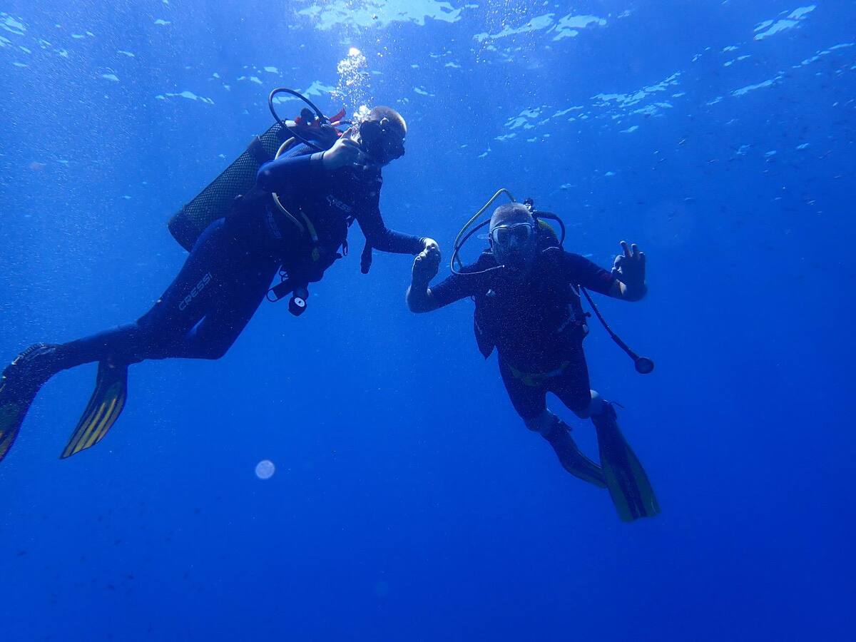 ‘A Vivir Benidorm’ arranca la temporada en los fondos del Parc Natural de la Serra Gelada