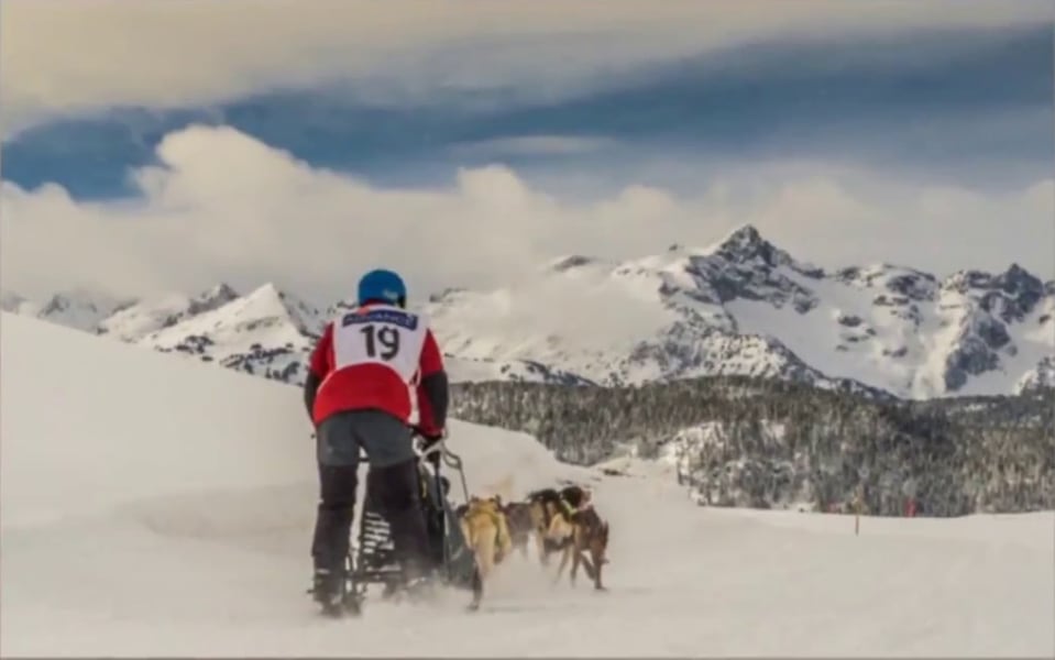 Carrera de trineo tirado por perros