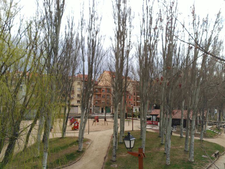 El Ayuntamiento tiene previsto talar 14 chopos y desmochar otros 12