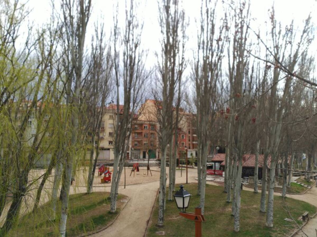 IU se opone a la tala de chopos de El Barriles