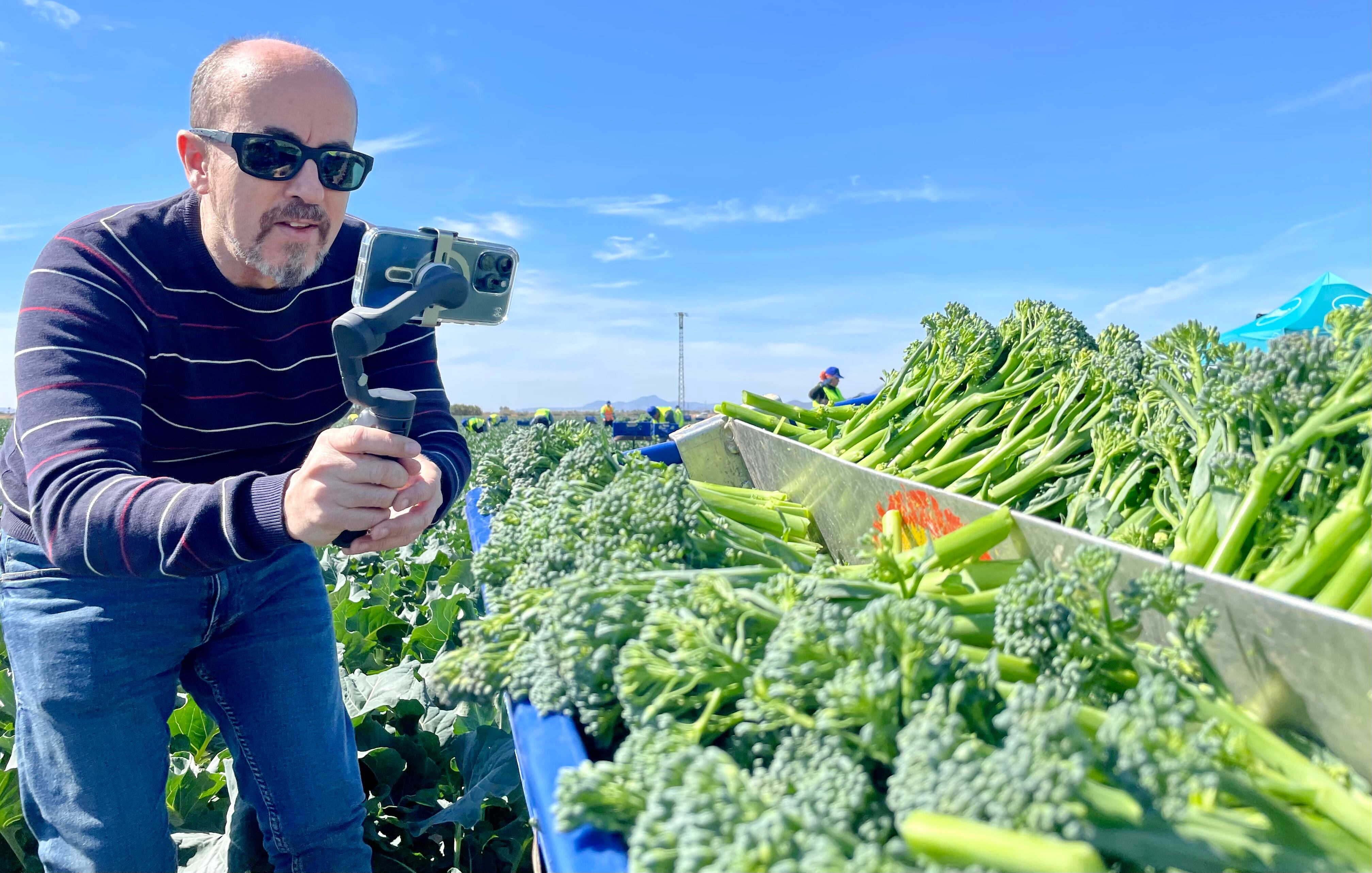 La producción de 'Bimi' crece en la Región de Murcia