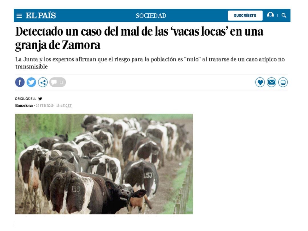 Recorte de la edición digital del diario El País